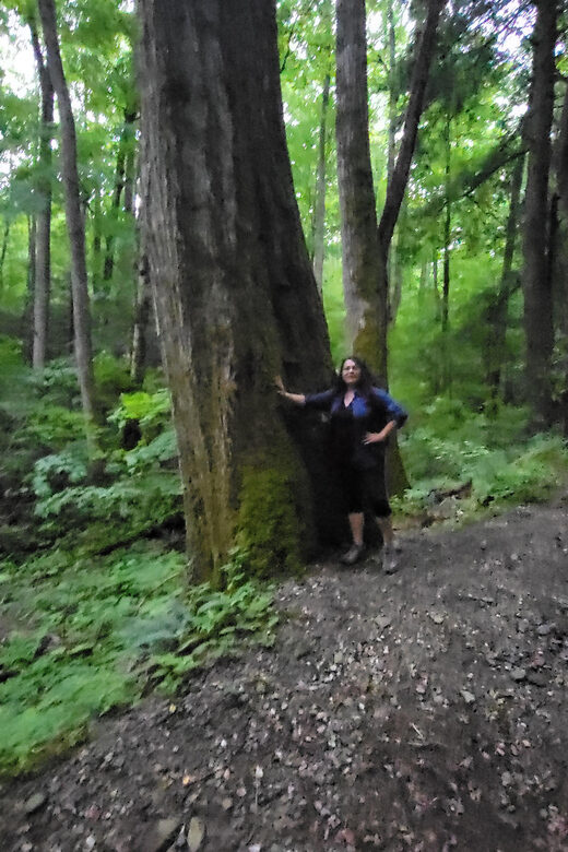 Great Smoky Mountains: Hiking Tours and Waterfall Walks - A Deep Dive Into the Experience