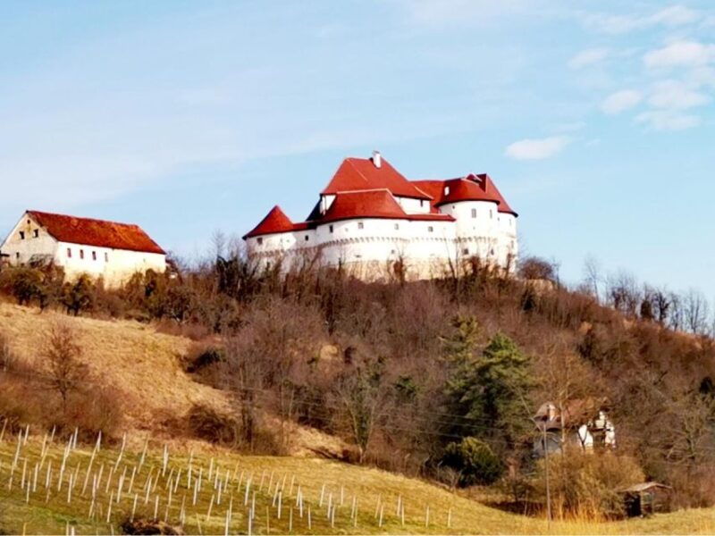 great-tabor-castle-kumrovec-museum-with-wine-tasting
