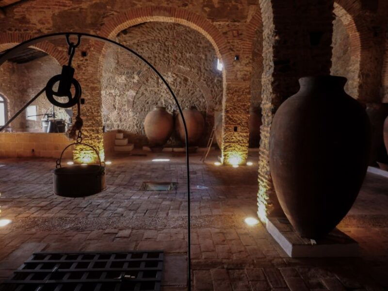 great-test-honored-vineyards-2