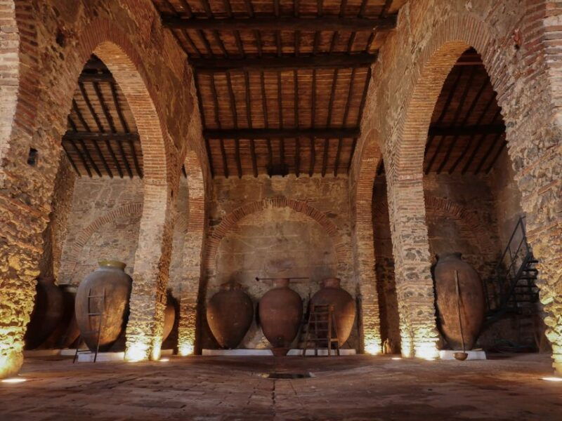 great-test-honored-vineyards-2