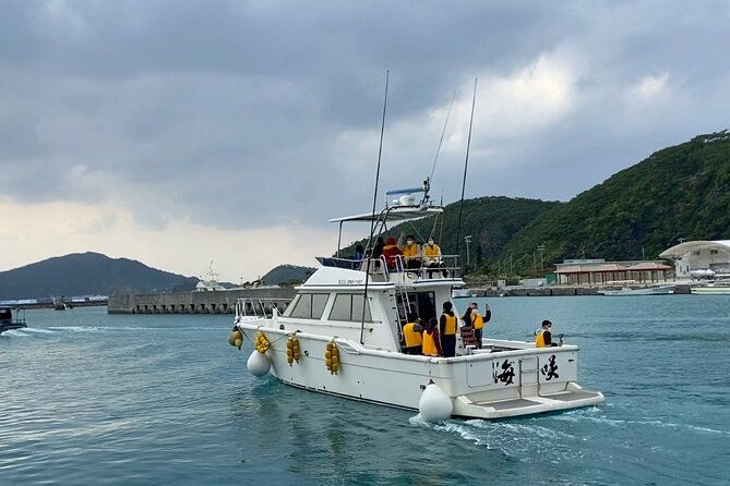 great-whale-watching-at-kerama-islands-and-zamami-island
