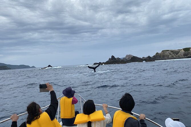 great-whale-watching-at-kerama-islands-and-zamami-island