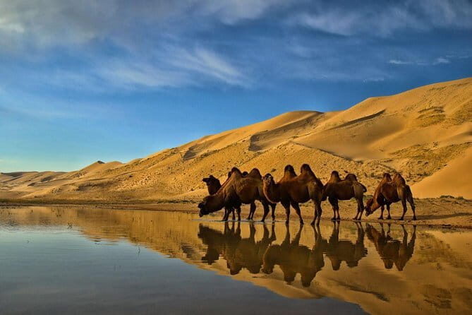 Greate White Lake and Gobi desert - FAQs