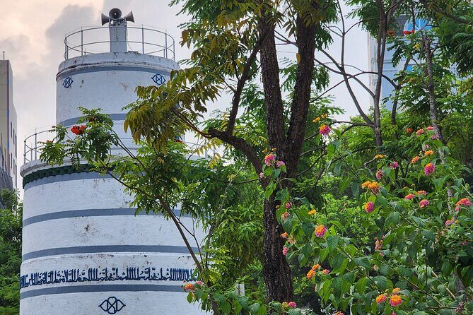 Greater Male Explorer - Private City Tour by Car or by Walking - Malé Local Market & Fish Market: The Pulse of Local Life