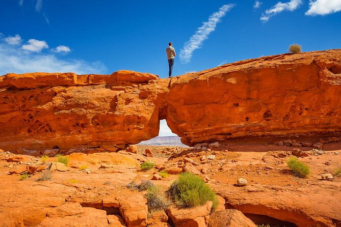 greater-zion-dinosaur-tracks-in-the-desert-utv-tour