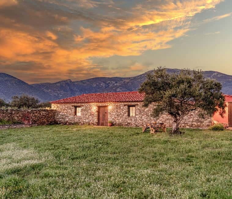Greece in a Drop: Olive Grove Walk and Olive Oil Tasting - Greece in a Drop: Olive Grove Walk and Olive Oil Tasting – An Authentic Taste of Greece’s Olive Heritage