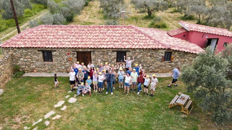 Greece in a Drop: Olive Grove Walk and Olive Oil Tasting - The Sum Up