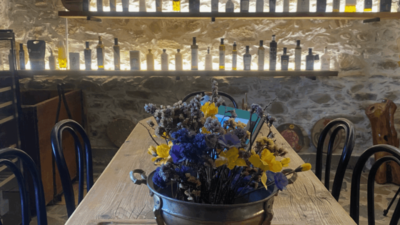 greece-olive-oil-tasting-experience-at-aloades-estate
