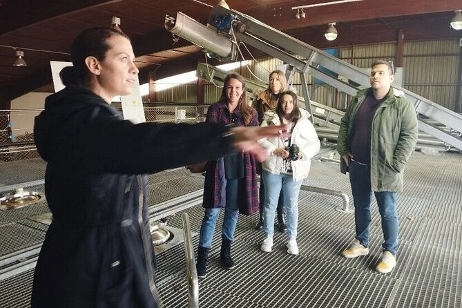 greece-wine-roads-athens-nemea-and-santorini