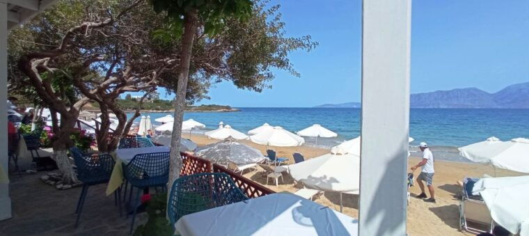 greek-food-tasting-experience