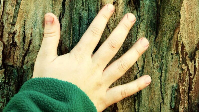 greek-mythology-for-kids-private-tour