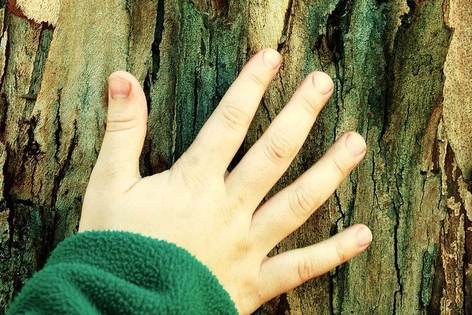 greek-mythology-treasure-hunt-for-kids-athens-private-tour