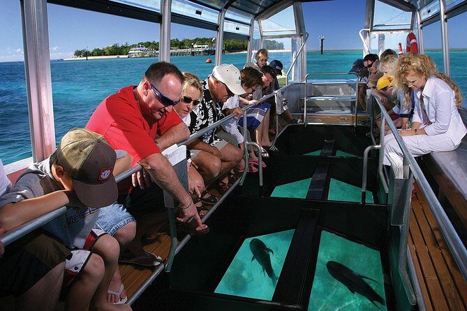 Green Island Half-Day Trip from Cairns - An Honest Breakdown of the Green Island Experience