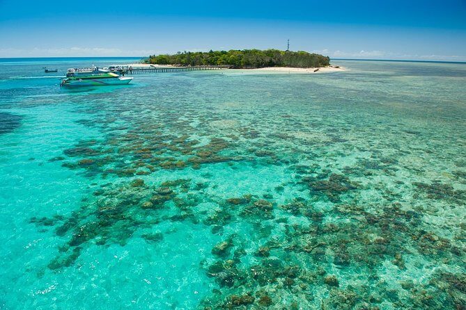 Green Island Half-Day Trip from Cairns - FAQ