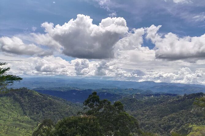 Green Magic One Night Two Days Trip to Munnar - The Value of This Tour