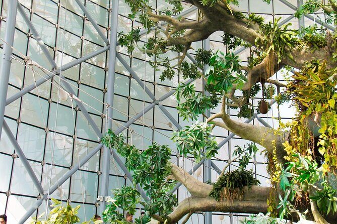 Green Planet Dubai Ticket - Key Points