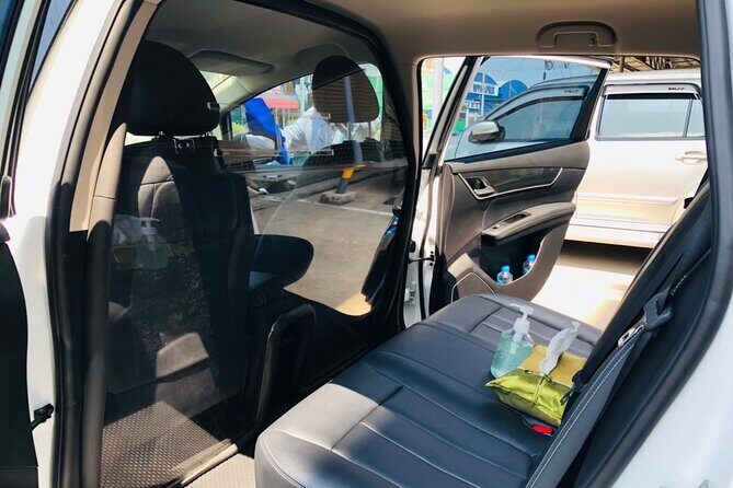 Green Ride: 100% Electric Don Mueang Airport Transfer - Who is This Tour Best Suited For?