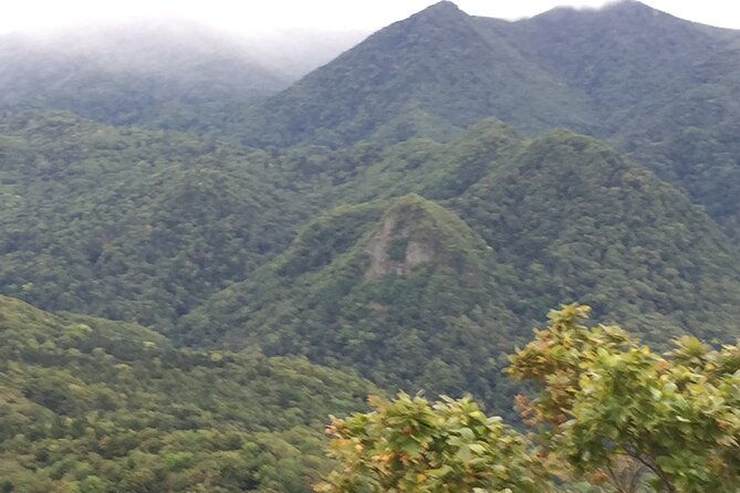 green-season-half-day-hikes-in-sapporo-and-hokkaido-with-onsen