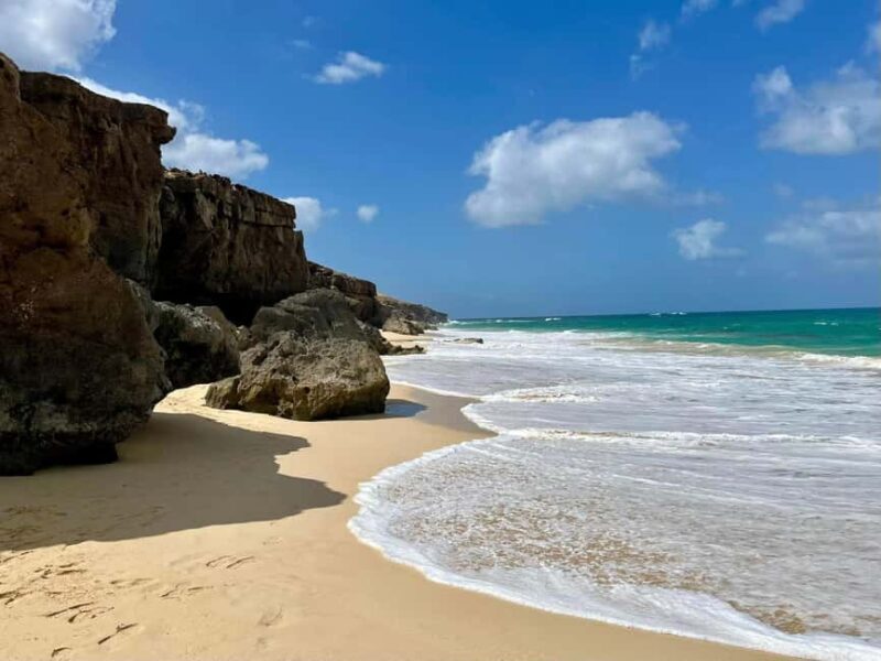 Green turtles, sharks, caves, desert, and sandboarding... - An In-Depth Look at the Boa Vista Half-Day Tour