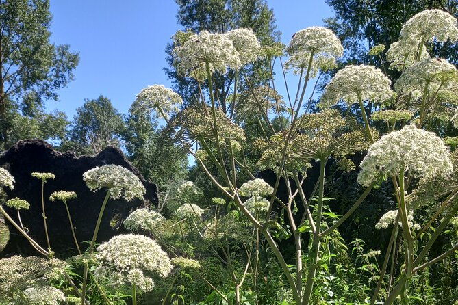 green-venice-cycling-getaway