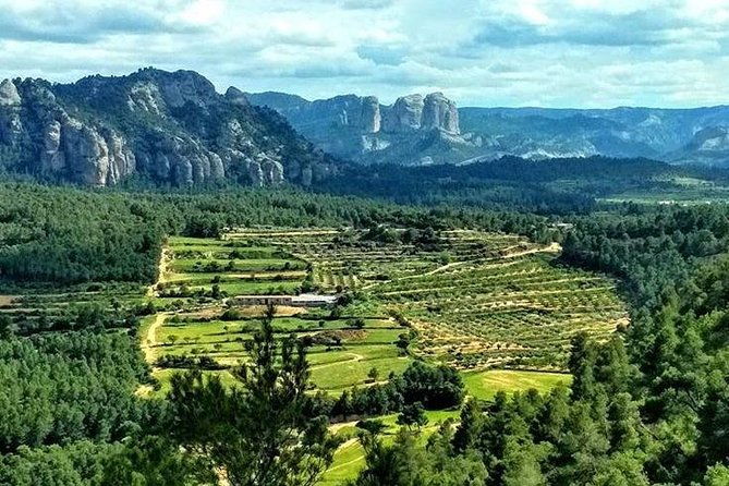greenway-section-cretas-horta-de-sant-joan-11km-90-descending-10-flat-2