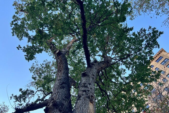 greenwich-village-food-private-tour