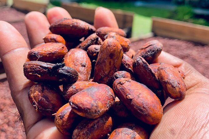 grenada-city-tour-spice-market-chocolate-tasting-fort-hourly