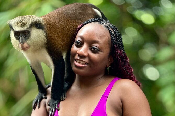 grenada-day-tour-concord-falls-chocolate-rum-grand-etang-lake