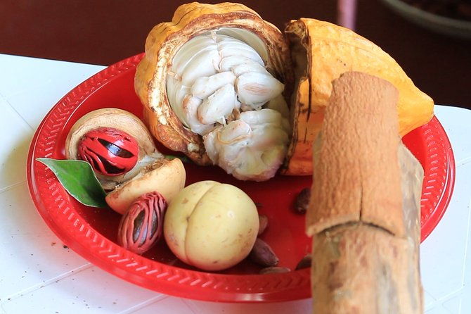 grenada-express-tour-annandale-fort-fredrick-rum-distillery-beach-tour