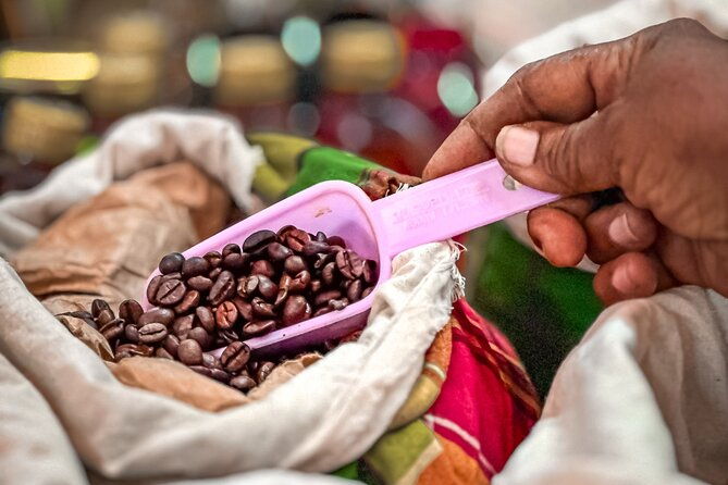 grenada-highlights-city-tour-fort-chocolate-rainforest-falls