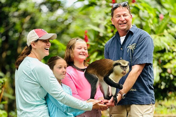 grenada-highlights-city-tour-fort-chocolate-rainforest-falls