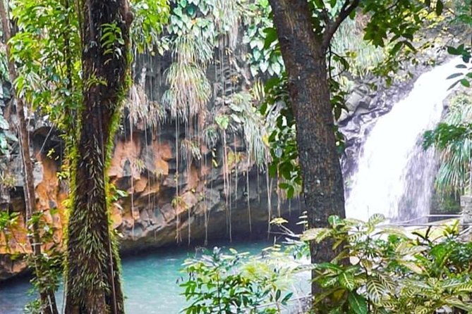 grenada-island-food-sightseeing-tour-full-half-day