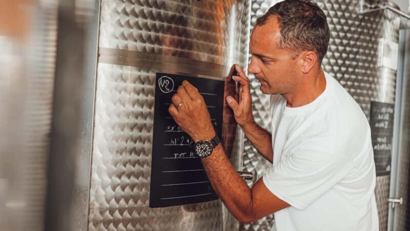 Greve in Chianti: Tour and tasting of organic Chianti Classico and Tuscan snacks - Key Points