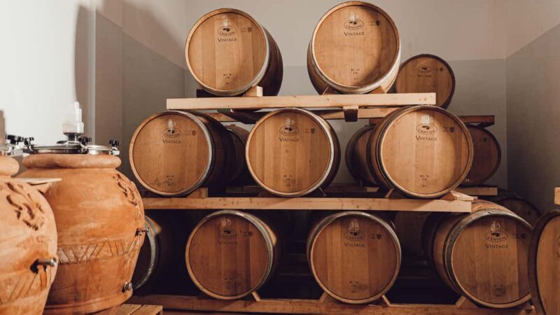 Greve in Chianti: Tour and tasting of organic Chianti Classico and Tuscan snacks - A Complete Look at the Experience