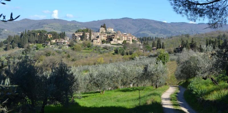Greve in Chianti: Wine tasting and visit to our small winery - Key Points