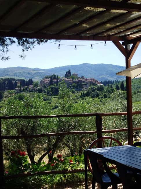 Greve in Chianti: Wine tasting and visit to our small winery - The Experience Overview
