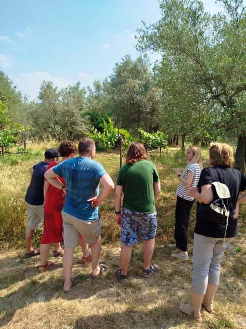 Greve in Chianti: Wine tasting and visit to our small winery - Who Will Love This Tour?