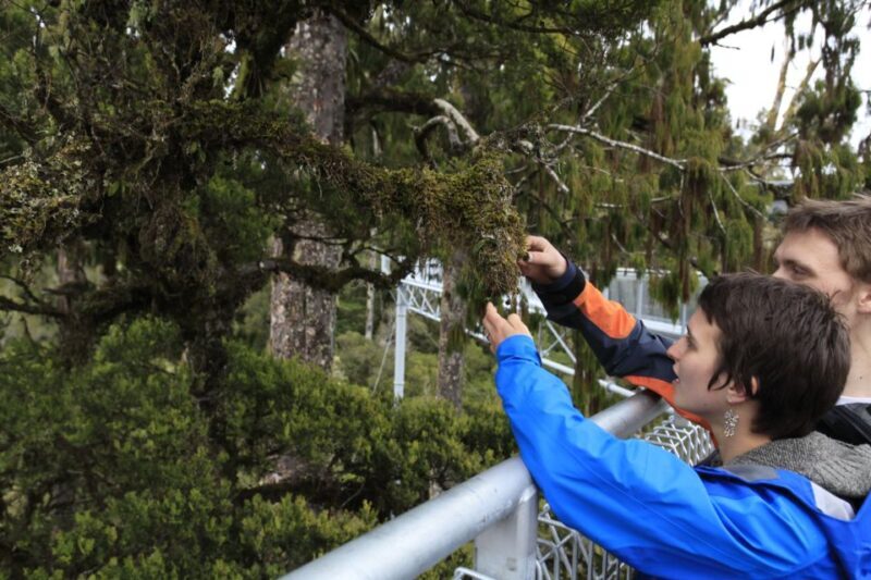 Greymouth: Full-Day Best Of The West Tour - Key Points