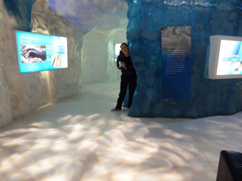 Greymouth: Glacier, Heritage & Wildlife Centre Guided Tour - What’s the Value of This Tour?