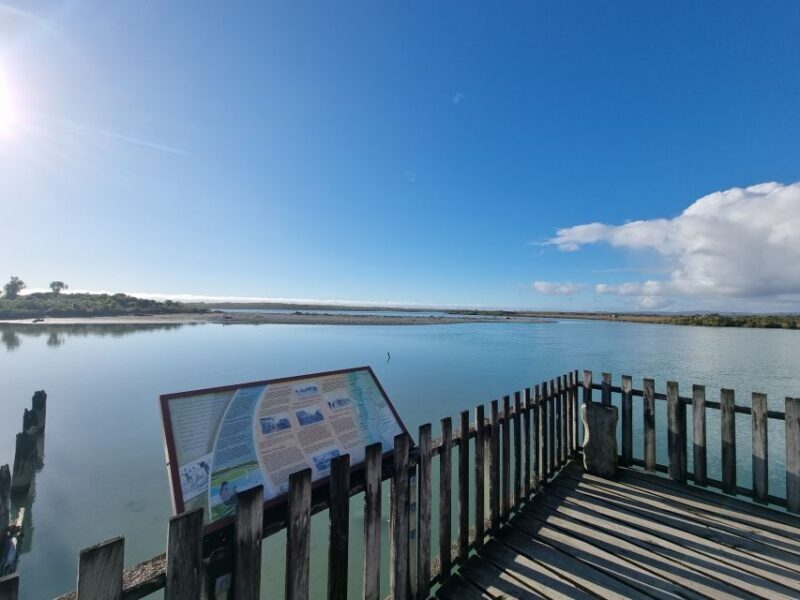 Greymouth: Glacier, Heritage & Wildlife Centre Guided Tour - Final Thoughts