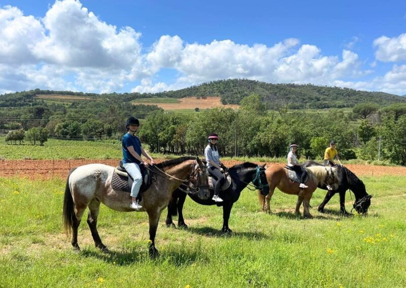grimaud-horseback-riding-wine-tasting-in-maures-forest