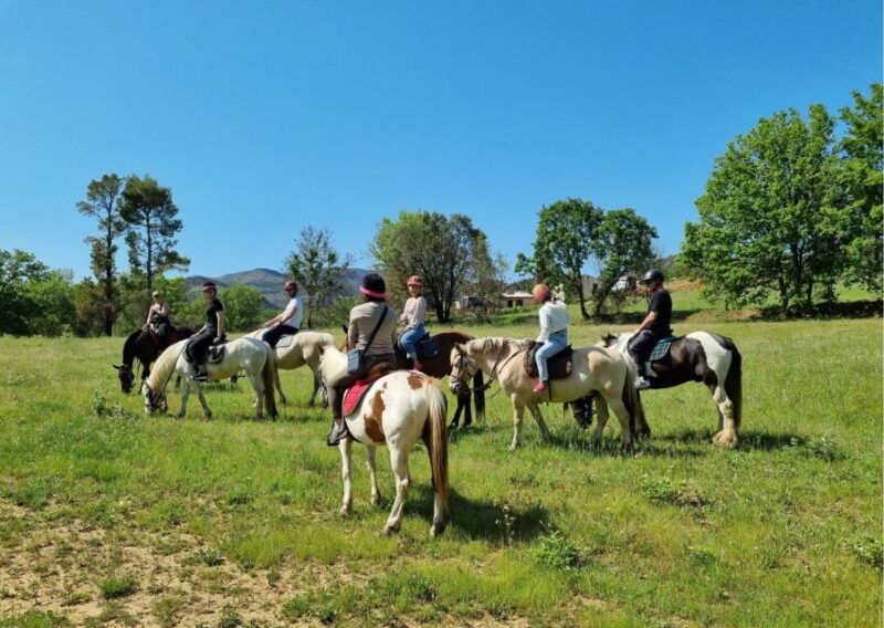grimaud-horseback-riding-wine-tasting-in-maures-forest
