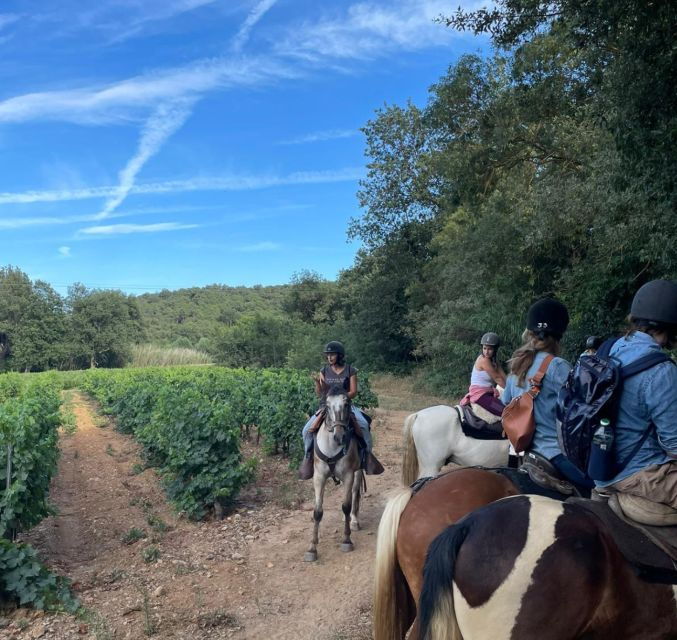 grimaud-horseback-riding-wine-tasting-in-maures-forest