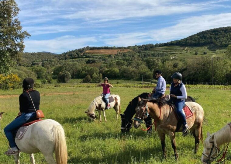 grimaud-horseback-riding-wine-tasting-in-maures-forest