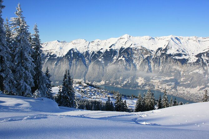 grindelwald-and-interlaken-independent-day-trip-from-lucerne
