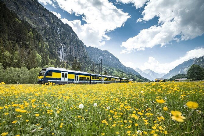 grindelwald-first-top-of-adventure-from-zurich-2