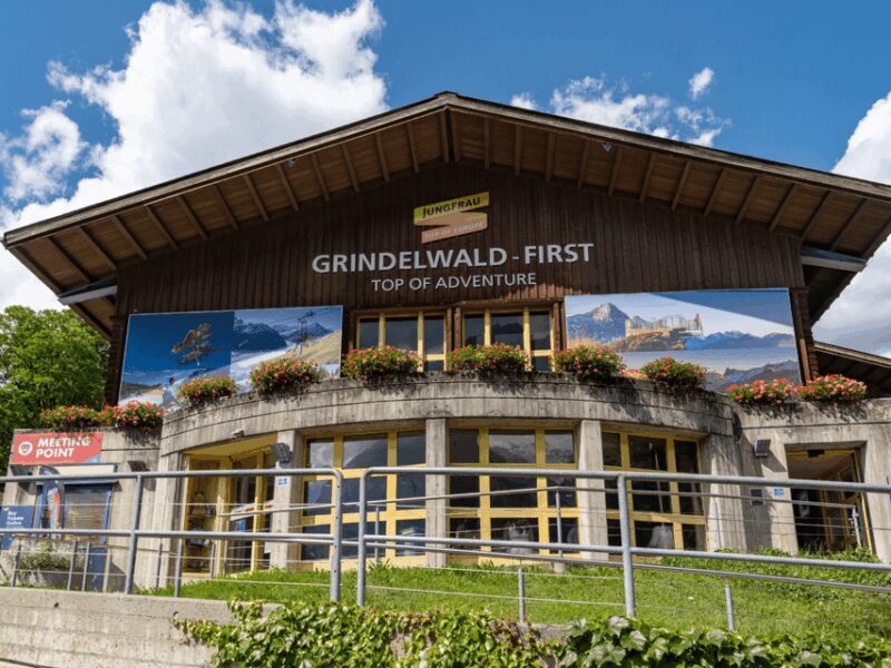 Grindelwald First Top of Adventure Private Trip - Who Will Love This Tour?