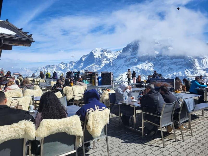 Grindelwald Lauterbrunnen Interlaken Swiss Alps Private Tour - Authentic Insights and Reviews