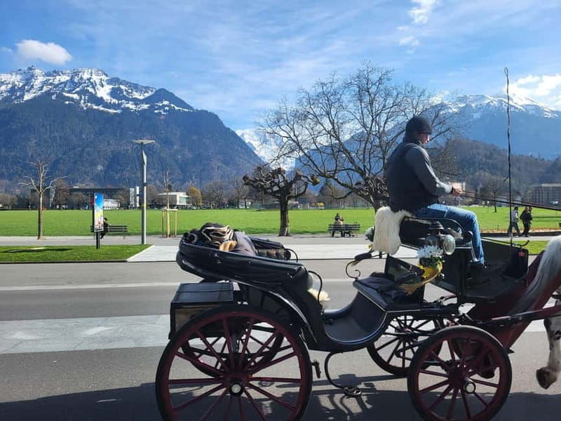 Grindelwald Lauterbrunnen Interlaken Swiss Alps Private Tour - Final Thoughts: Is This Tour for You?