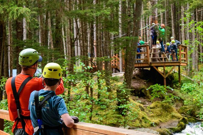 Grizzly Falls Ziplining Expedition - An In-Depth Look at the Experience